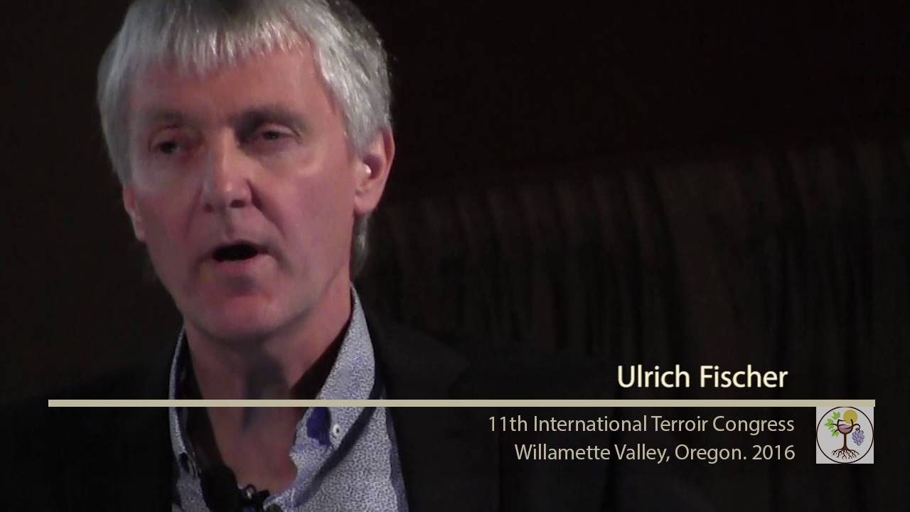 Terroir Factors Causing Sensory and Chemical Variation