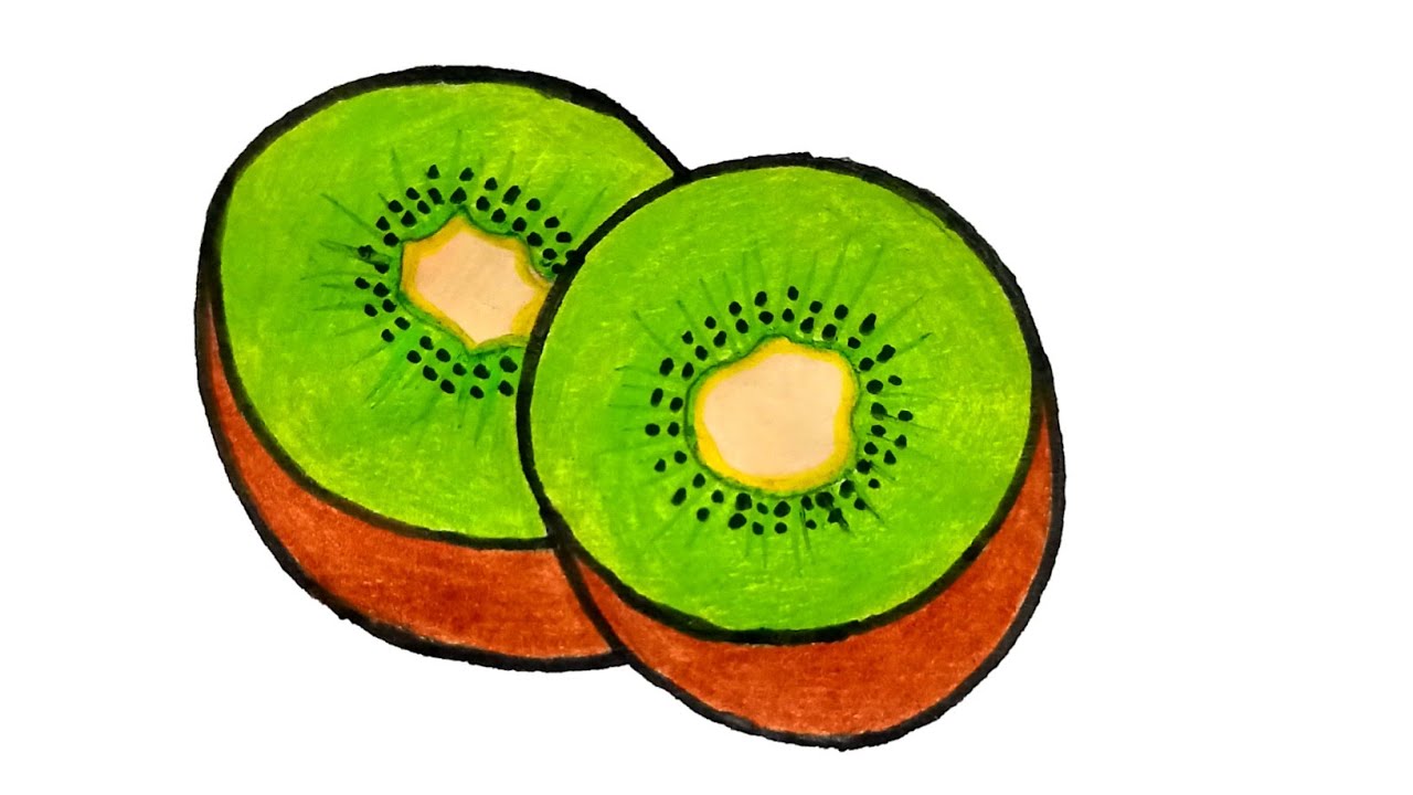 How to draw a Kiwi | Kiwi Fruit Drawing | Kiwi fruit Drawing step by step |