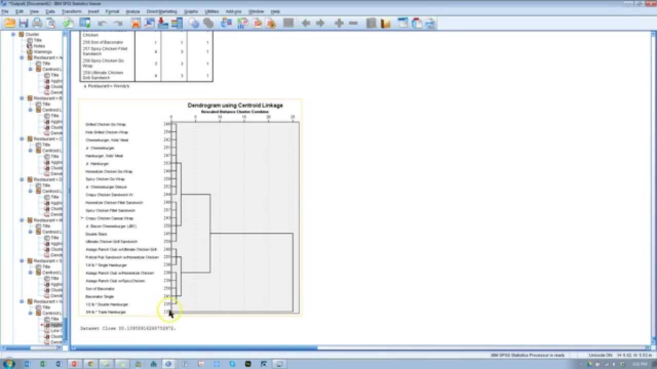 Hierarchical Cluster Analysis SPSS