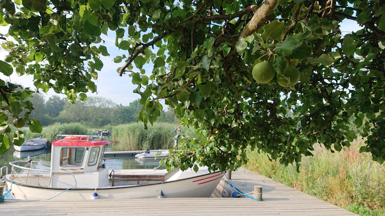 Del 35 B&oslash;geskov Havn er et bes&oslash;g v&aelig;rd