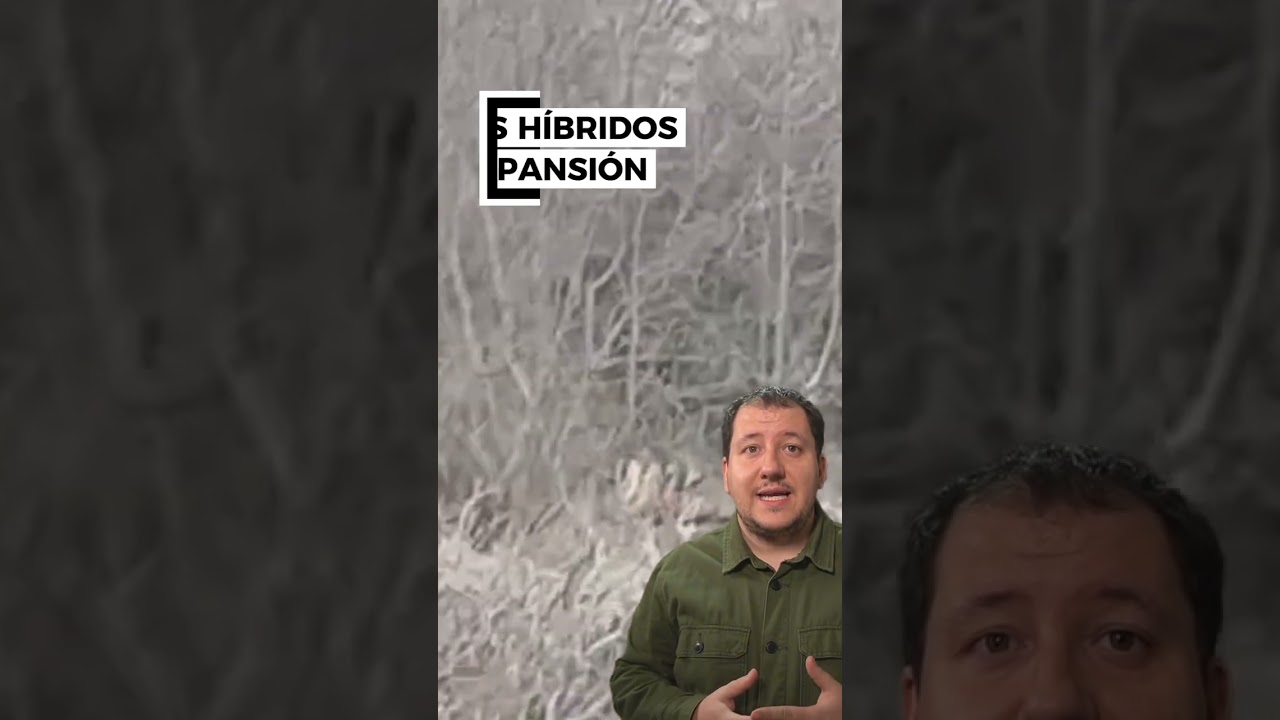 Lobos h&iacute;bridos en expansi&oacute;n | Noticias con club de caza