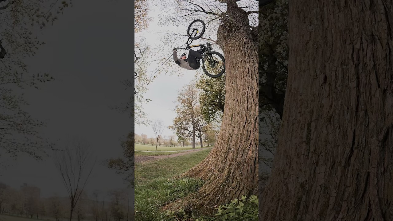 Revisiting an old favourite spot! Who remembers this?