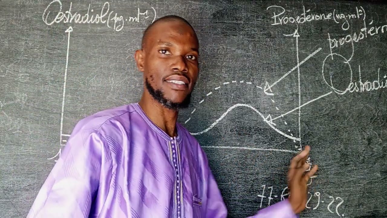 Cours Svt TS : le cycle des hormones ovariennes ( œstrogènes et progestérones)