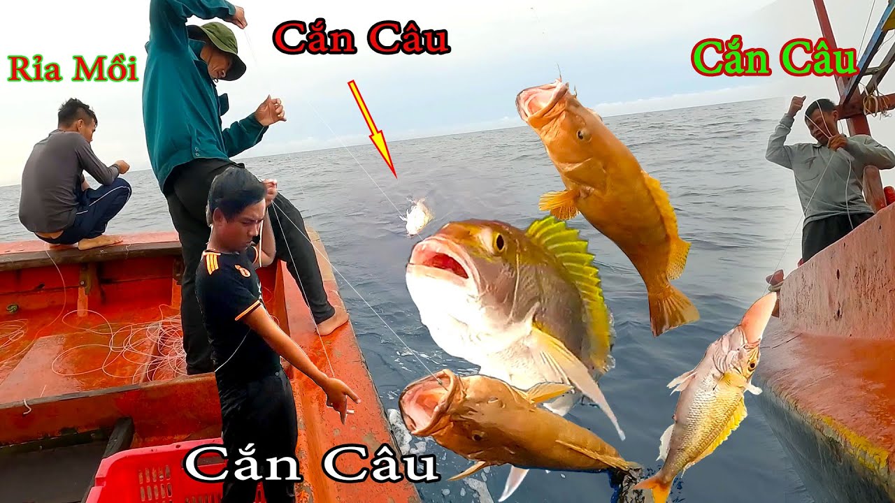 C&Acirc;U TAY 3║Gặp Điểm Rạn Chưa Ai Biết Đến,C&aacute; Cắn C&acirc;u Li&ecirc;n Tục.