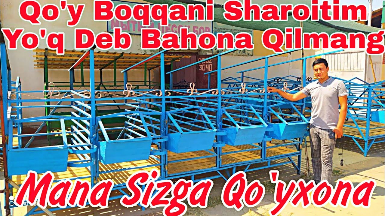 QO'Y BOQIB DAROMAD QILISHNI HOHLAYSIZMI UNDA TAYYOR  QO'YXONA OLING
