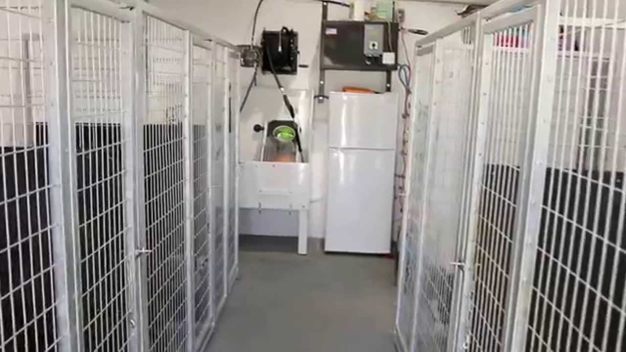 Von der Rod Rottweilers Kennels