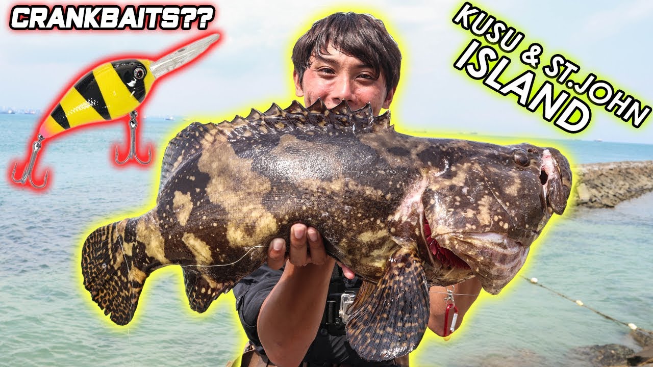 Shore Grouper fishing with Crankbaits! Singapore St.John & Kusu