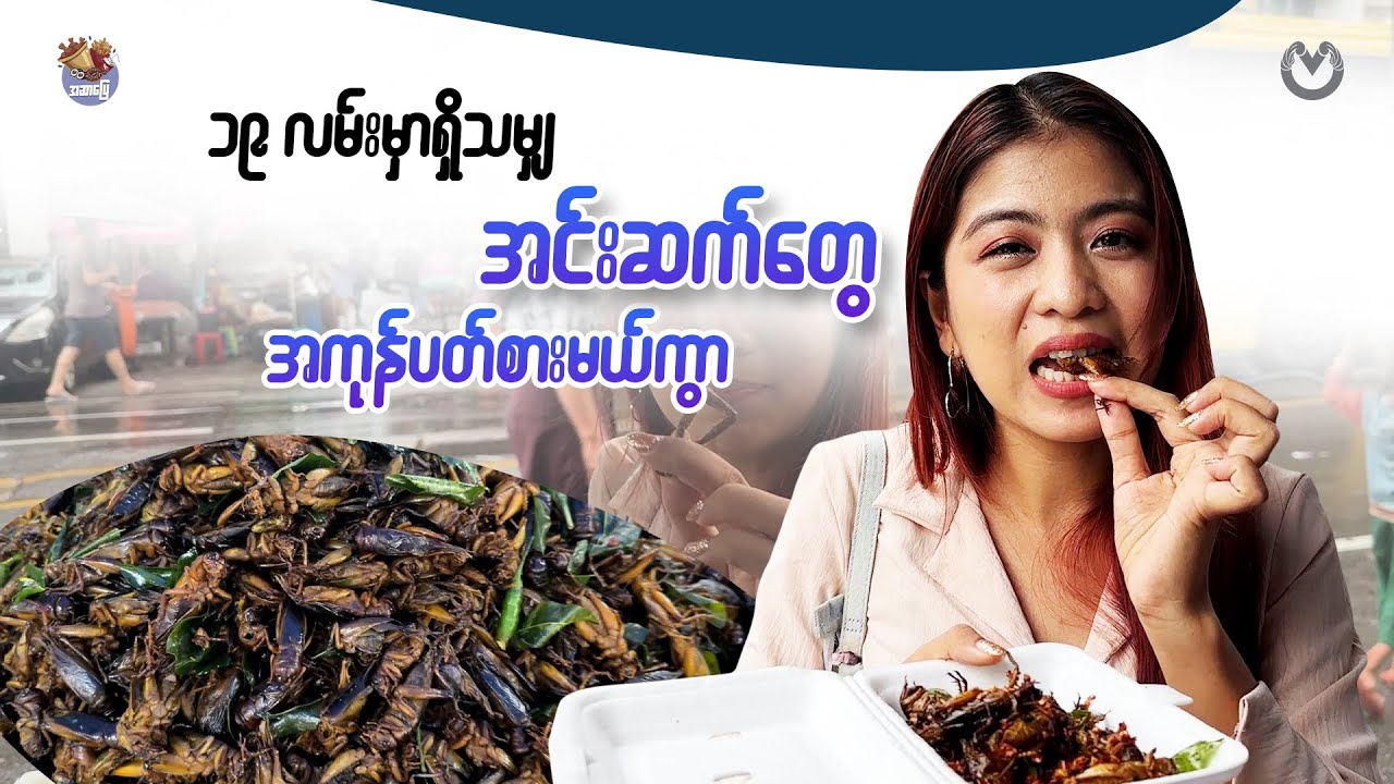 ၁၉ လမ်းမှာရှိသမျှ အင်းဆက်တွေအကုန်ပတ်စားမယ်ကွာ 🦗🦗🦗