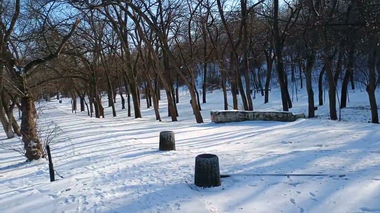 Засніжене узбережжя 
