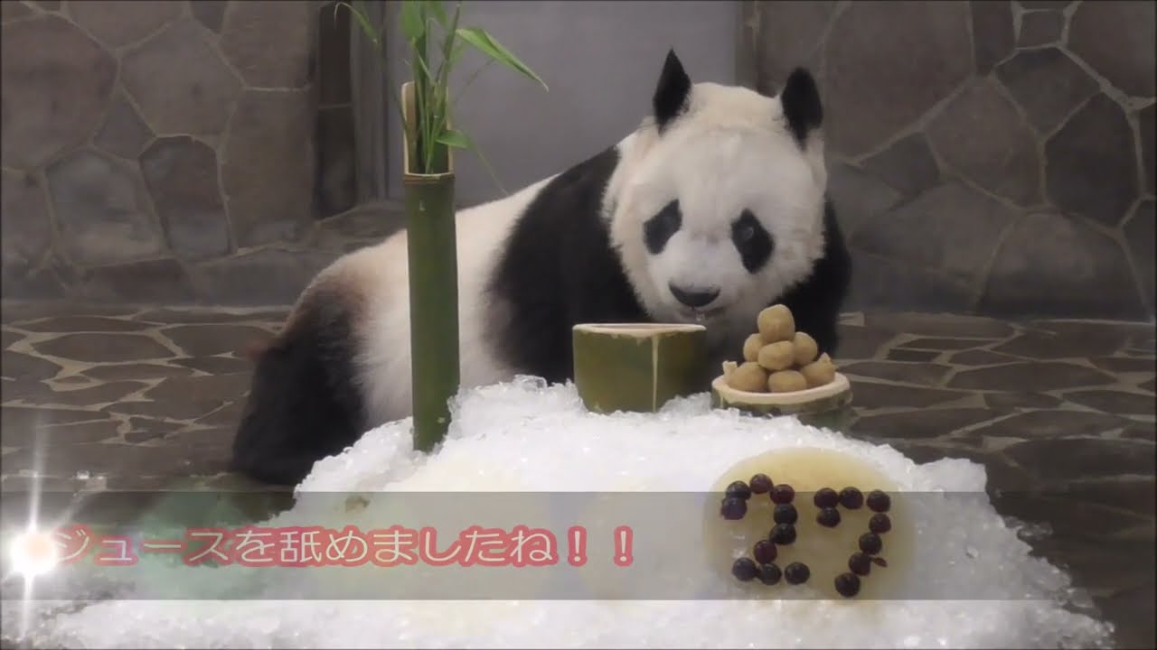 タンタン27歳誕生日：ささやかなプレゼント