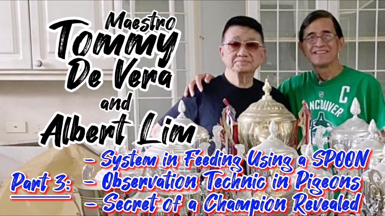 Tommy De Vera and Albert Lim Loft, Spoon Feeding, Observation and Secret of a Champion. Part 3