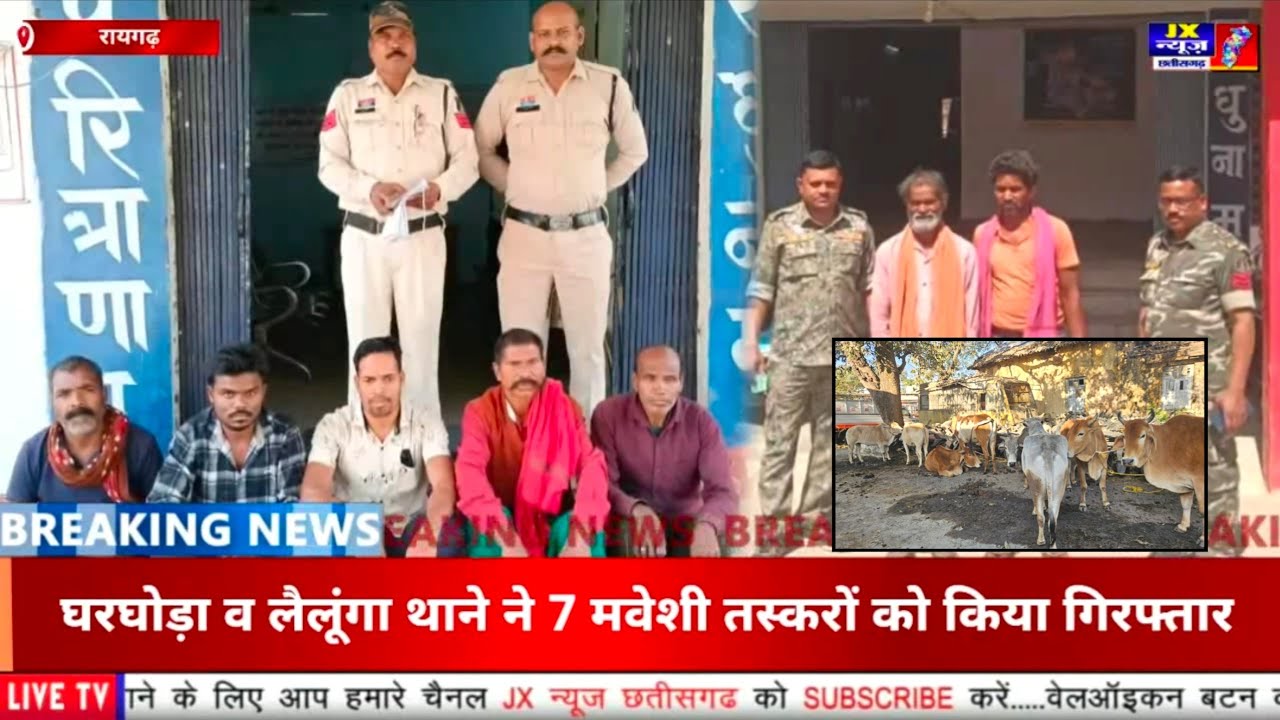 रायगढ़ घरघोड़ा व लैलूंगा थाने ने 7 मवेशी तस्करों को किया गिरफ्तार, दो पिकअप वाहन जब्त, 18 गौवंश 