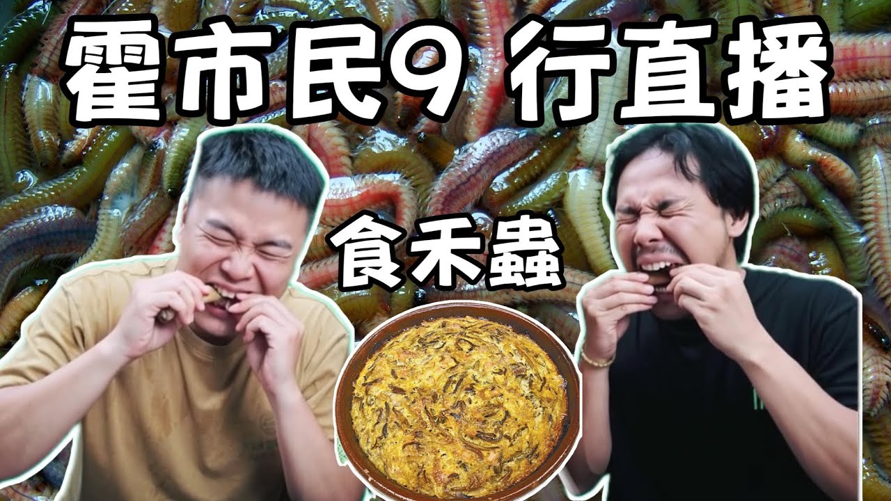 霍市民遊車河宵夜直播：食禾蟲！！！