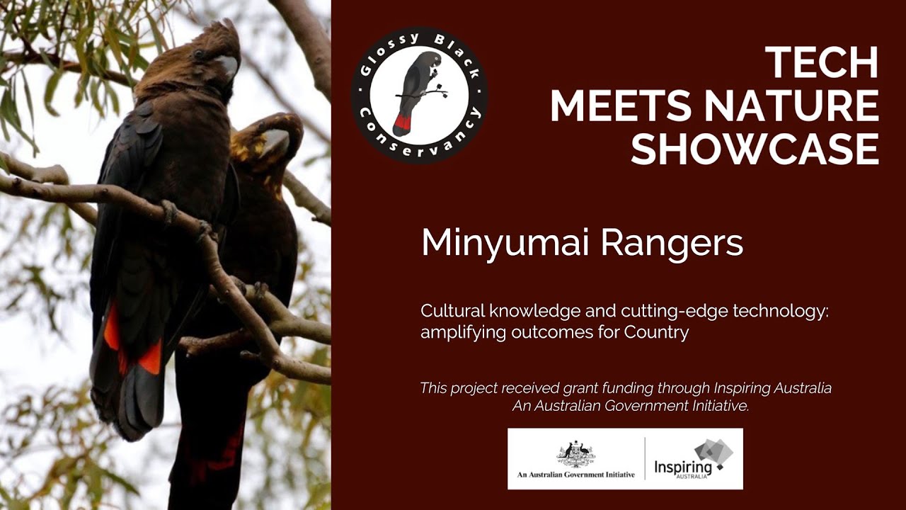 Cultural knowledge and cutting-edge technology: delivering outcomes on Country with Minyumai Rangers