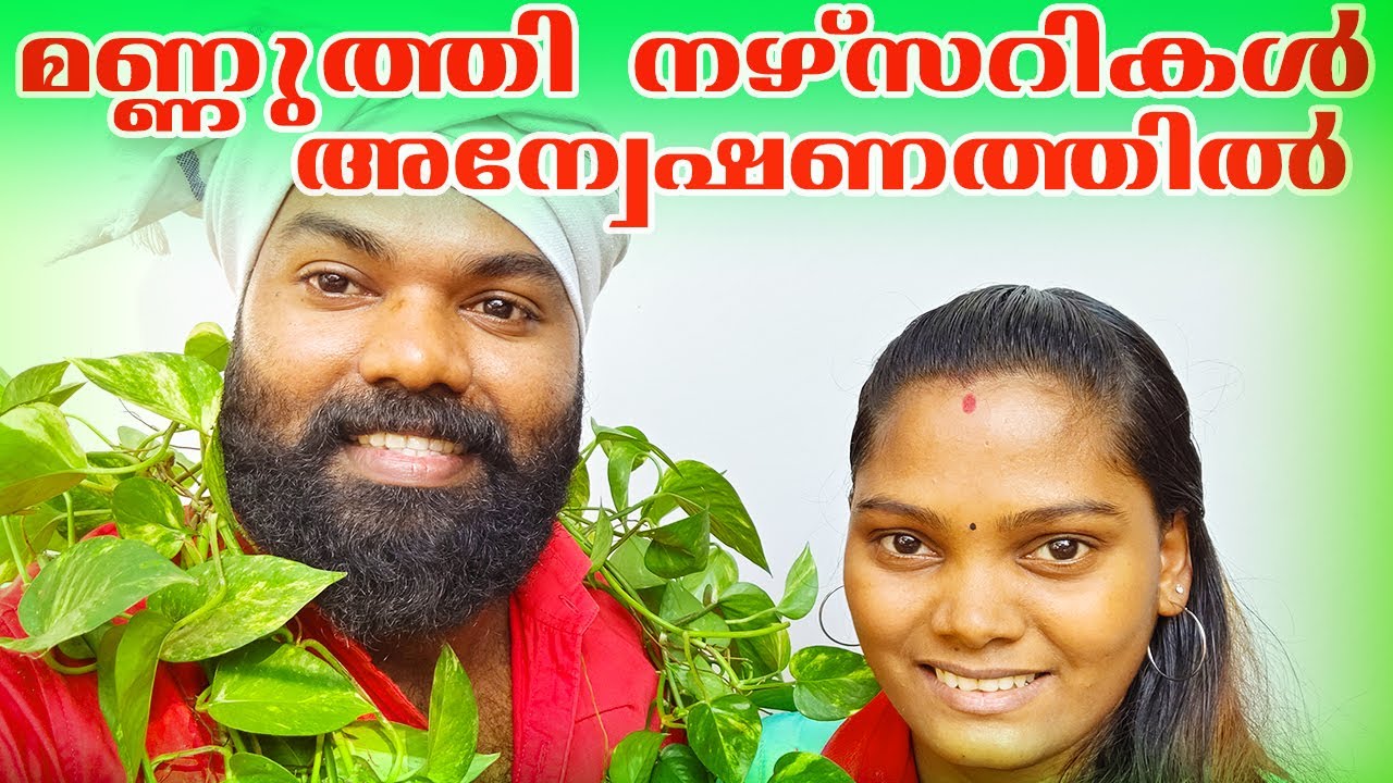 മണ്ണുത്തി നഴ്സറികൾ |  അന്വേഷണത്തില്‍  | DV 3 | Stylen Raj |