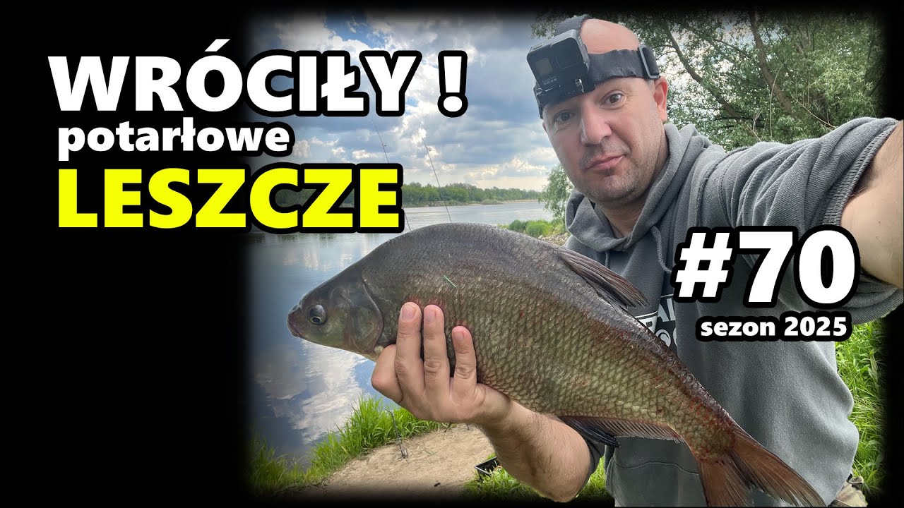 WRÓCIŁY! - potarłowe LESZCZE z Wisły | 70. odcinek – Ryczywół