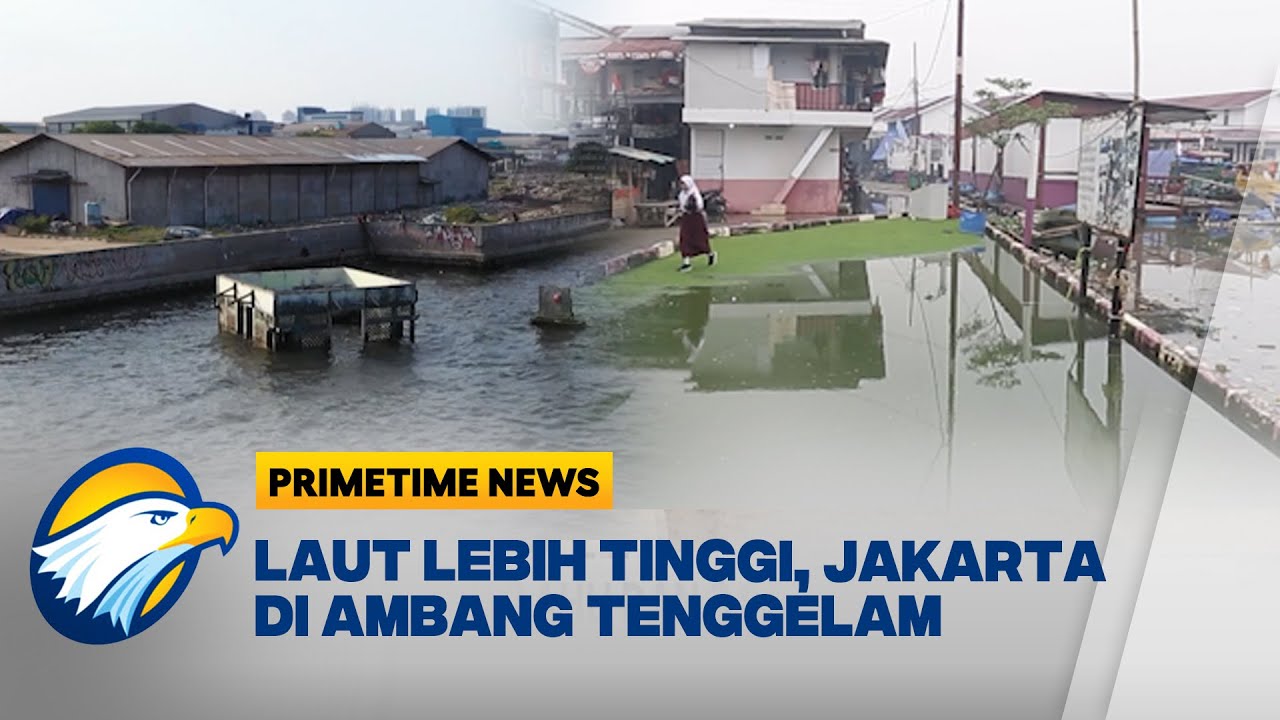 Jakarta di Ambang Tenggelam, Permukiman Pantai Mutiara Terancam [Primetime News]