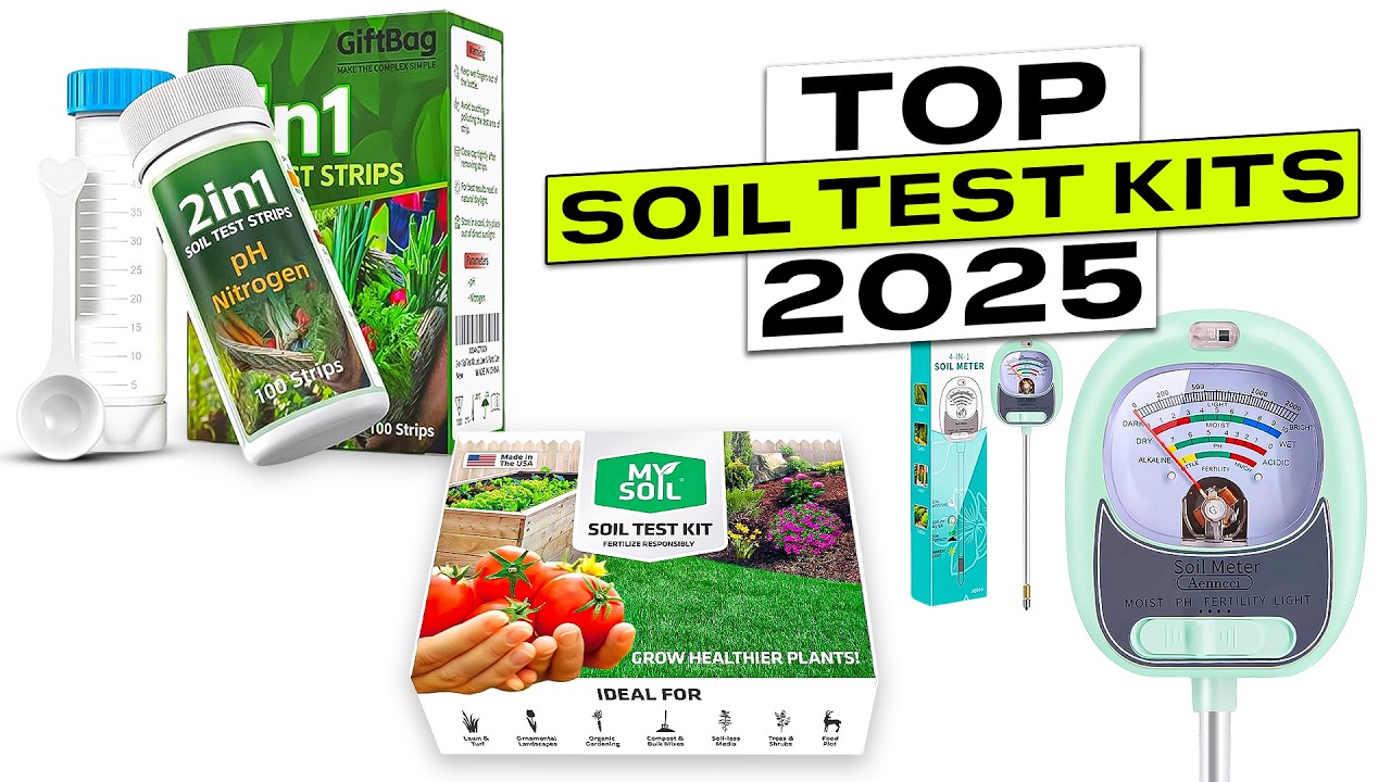 Top 3 BEST Soil Test Kits