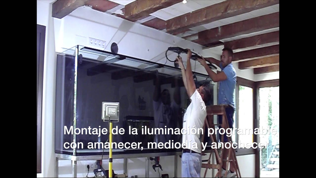 Acuarios a medida Barcelona-Montaje e instalación de un acuario agua dulce