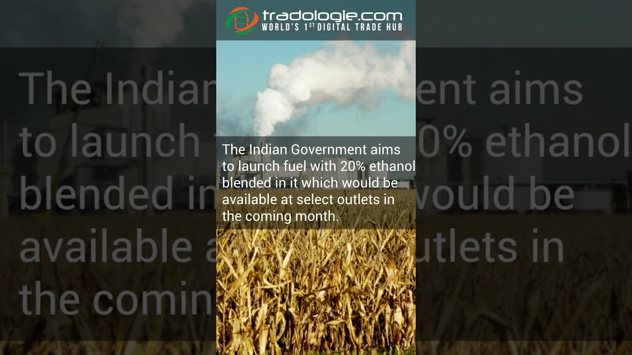 Sugar Stocks Surged By 20% Amid Hopes Of GOI Raising Export Quota