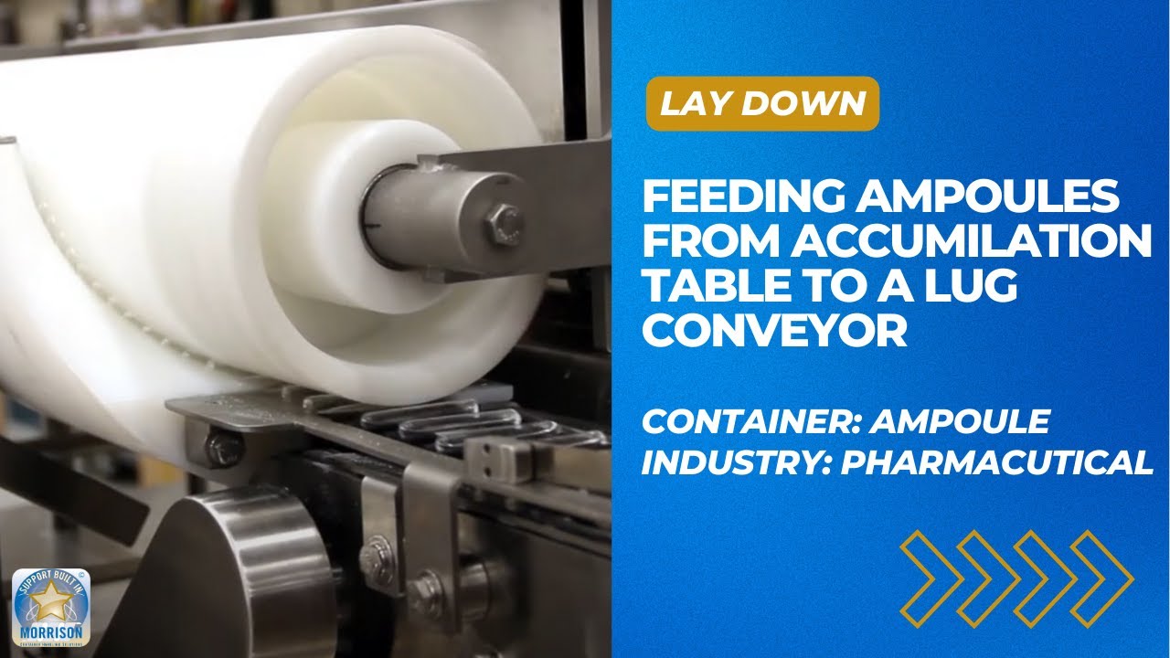 Morrison Ampoule Handling Timing Screw Drive Unit