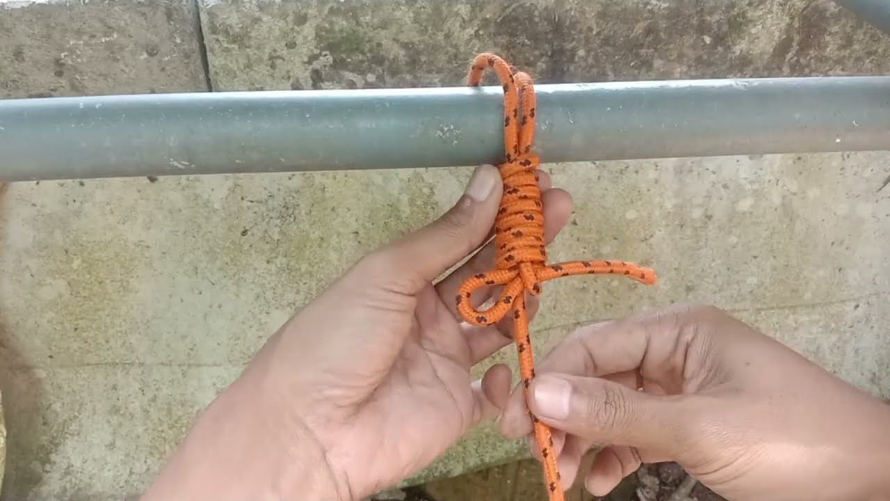 A GREAT Knot in our daily life! 