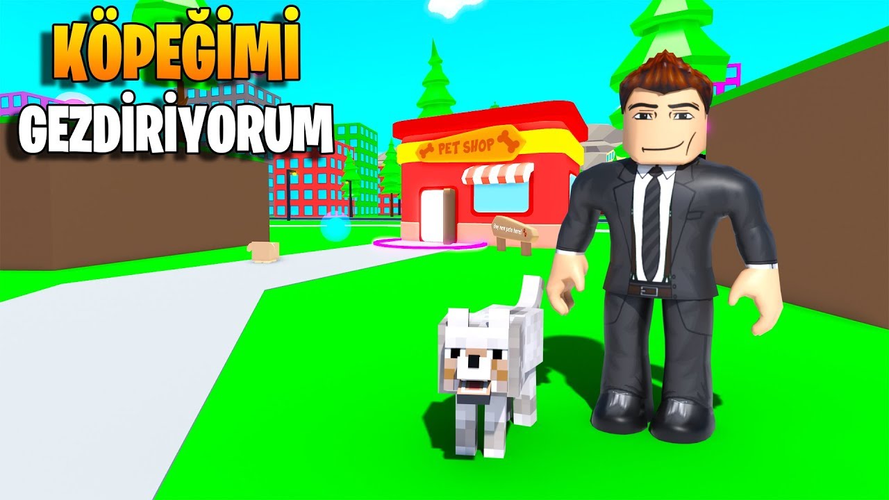 🐶 Evcil Hayvanlarımı Yürüyüşe Çıkartıyorum! 🐶 | Pet Walking Simulator | Roblox Türkçe