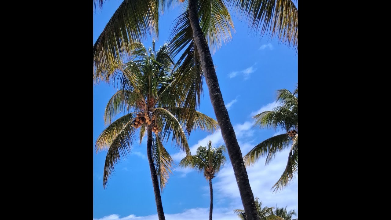 Part One - The Island of Mauritius, Blue Sky and Turquoise Sea. October 2025
