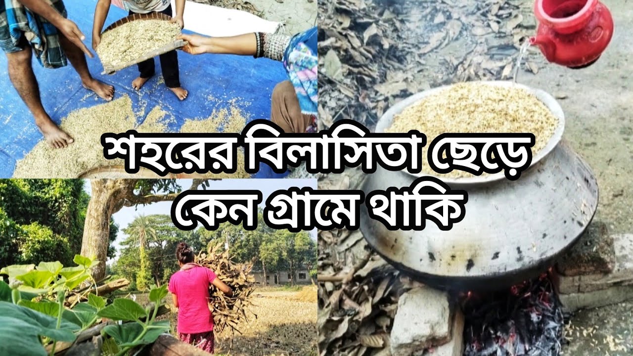 শহরের বিলাসিতা ছেড়ে গ্রামে কেন থাকি || Village Vlog 🏡