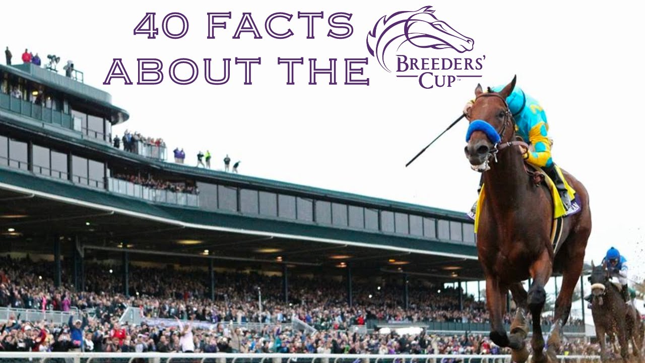 40 Facts About The Breeders Cup