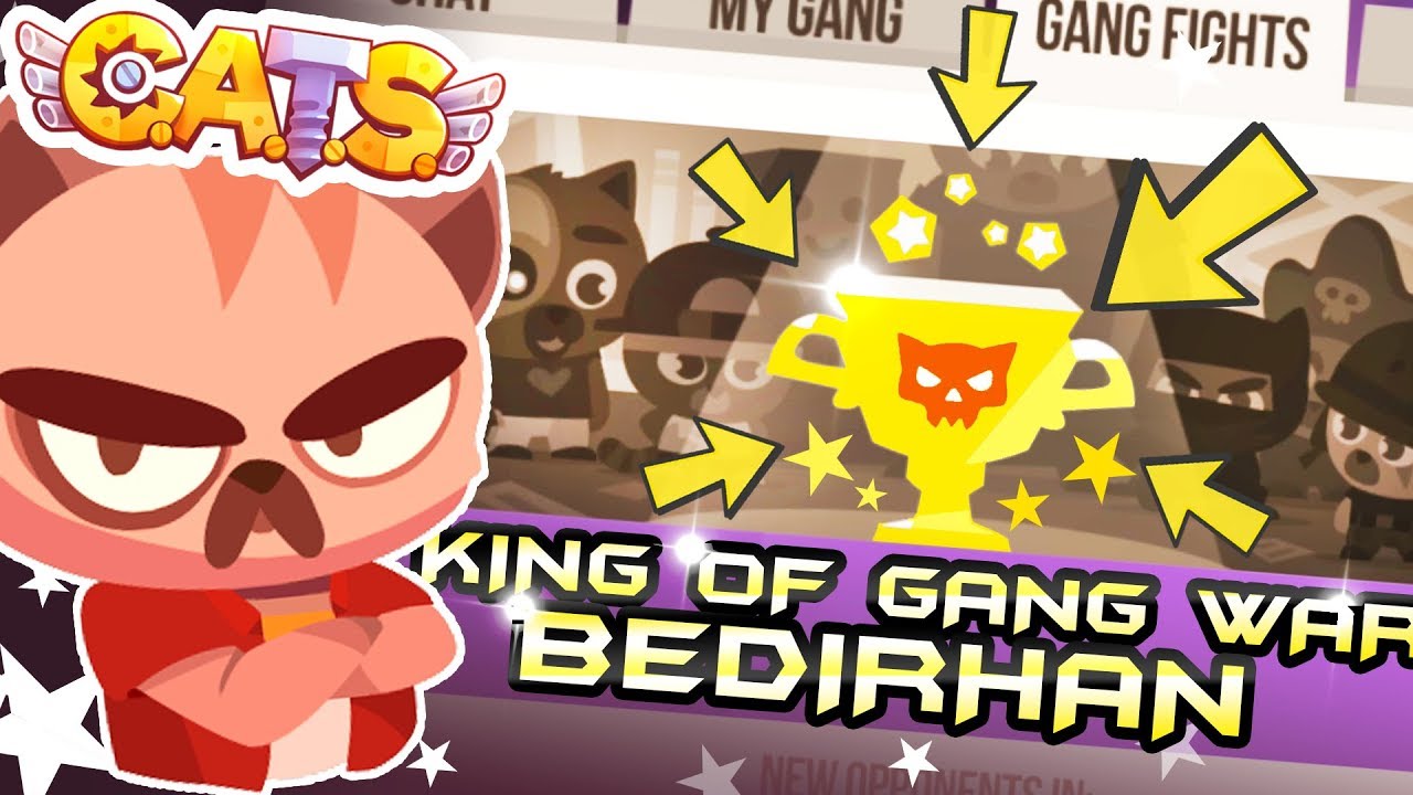 King of Gang War | Cats Game Crash Arena Turbo Stars: 10 Gang Fights Winner