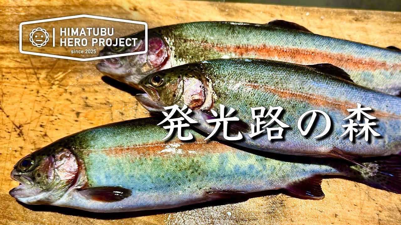 【エリアトラウト】発光路の森！管釣りの奥深さを知った日