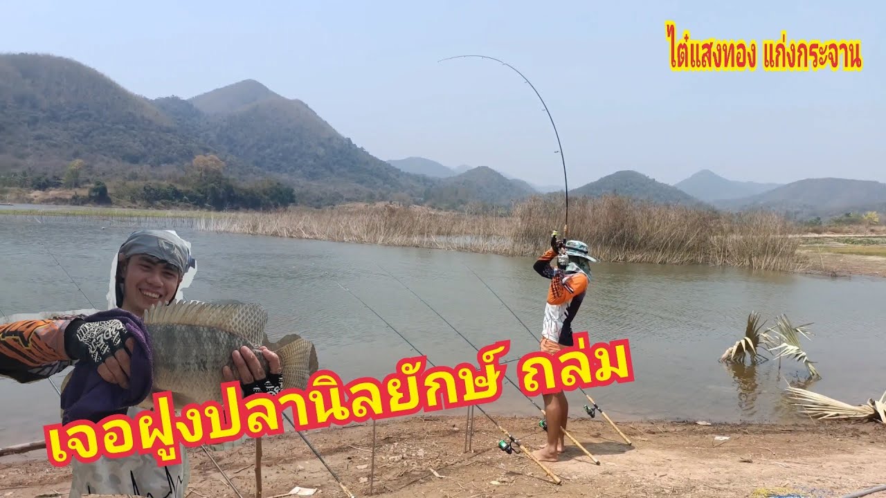 Ep62/1 เจอฝูงปลานิลยักษ์ ถล่มหมายแค้มป์ปิ้ง ตกปลา แก่งกระจาน (ออนทัวร์fishing)