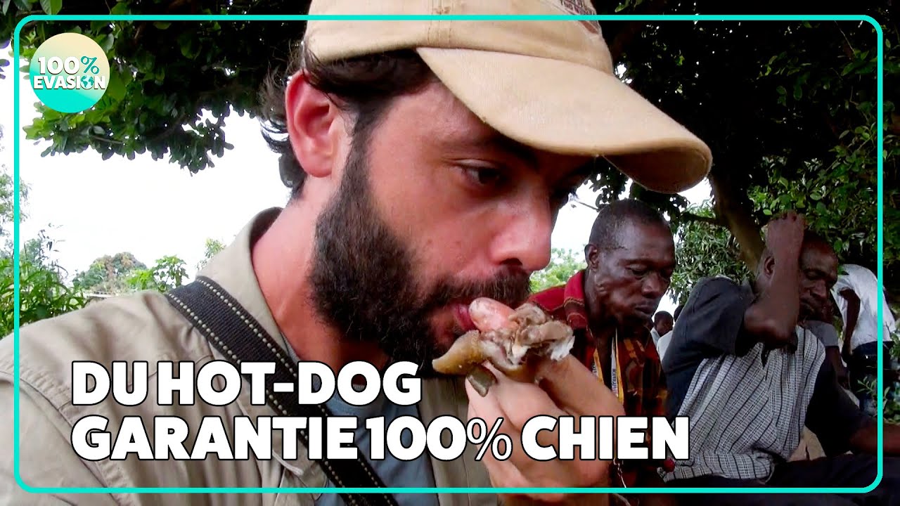 Ils ont du chien en Afrique de l'Ouest !