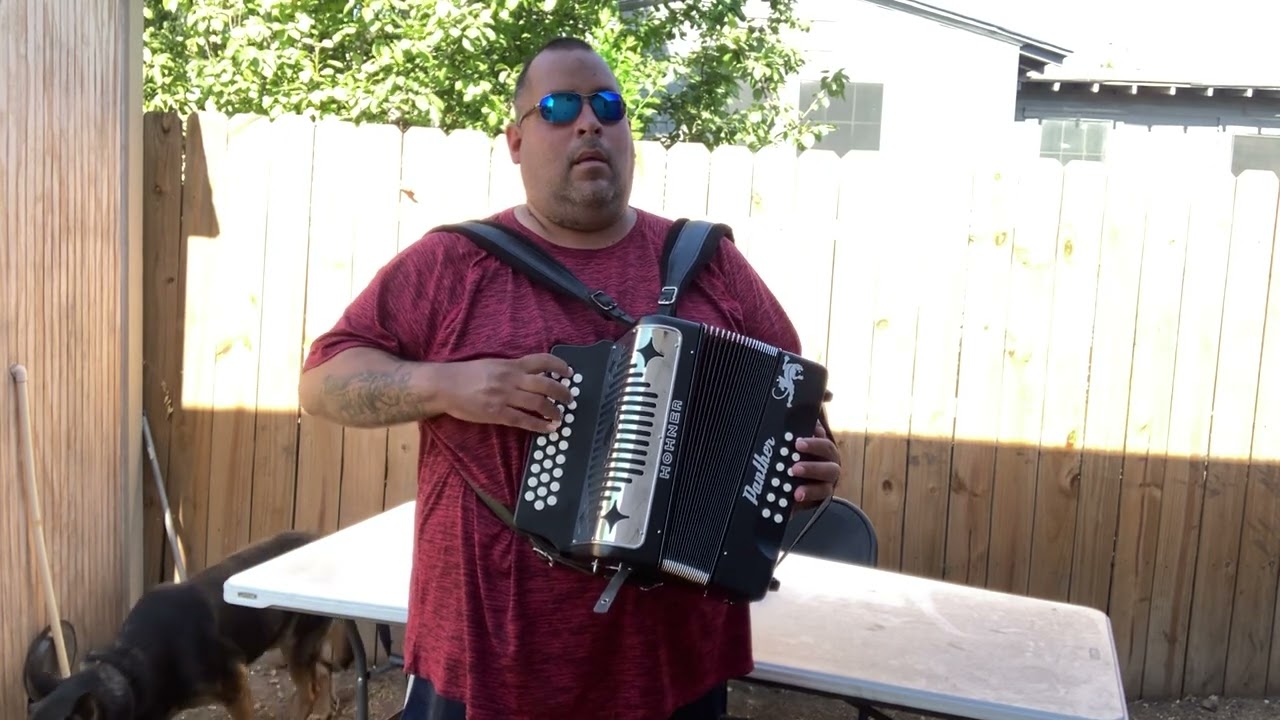￼the hohner  panther is a fantastic accordion ￼