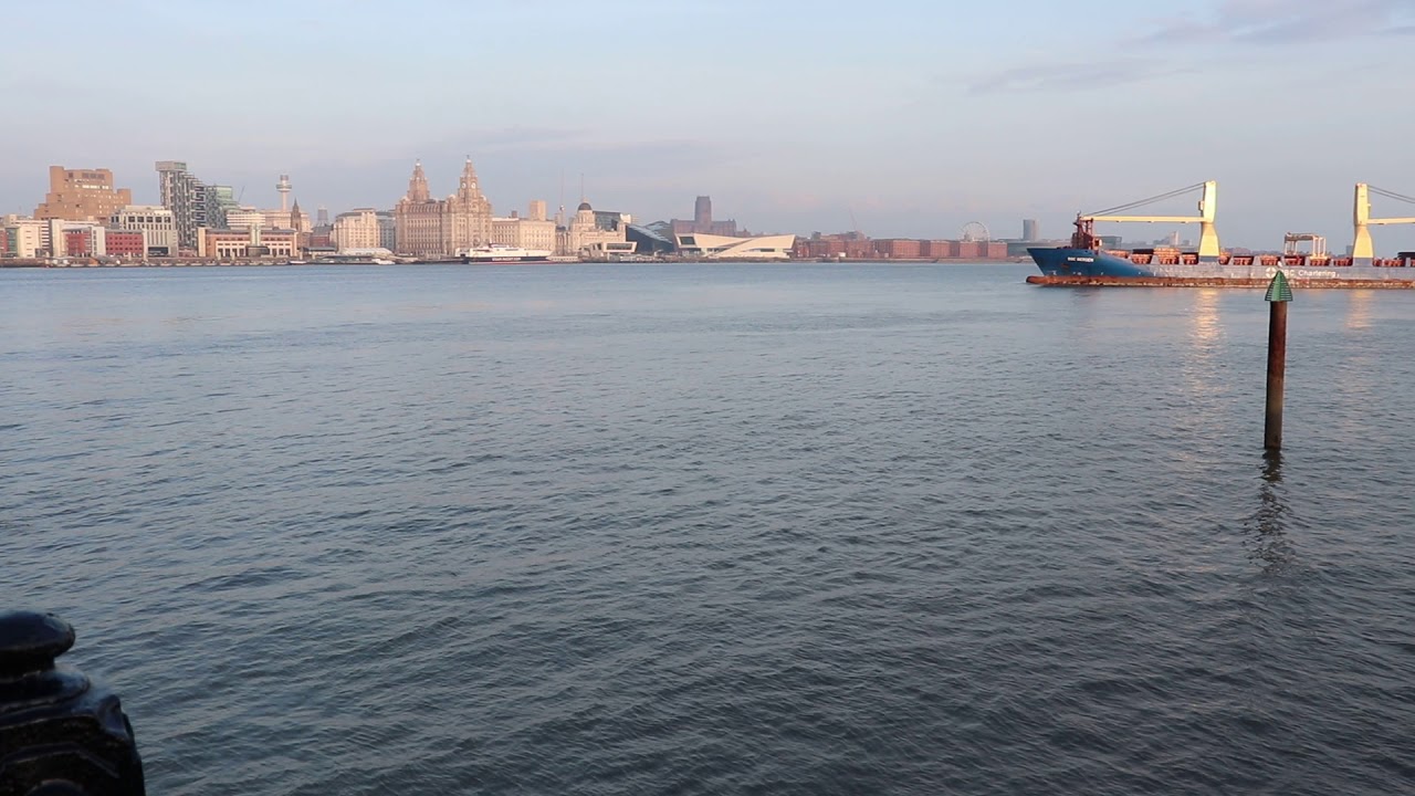 Harbour porpoises sighted from Seacombe Ferry!