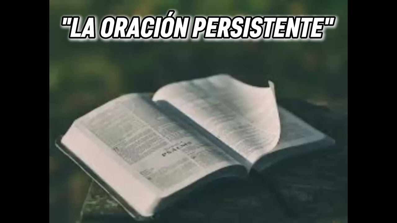 MATEO 7:7-12 