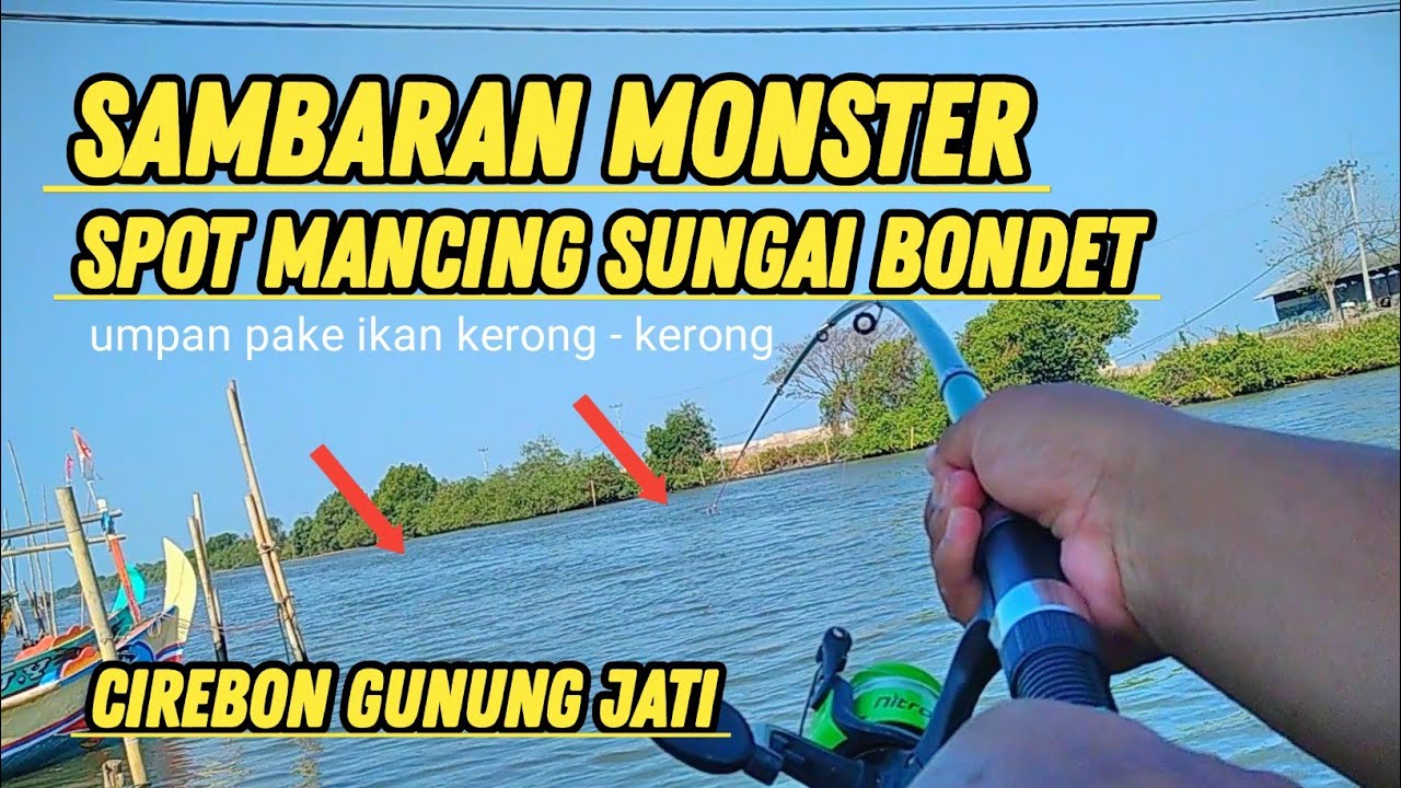 MANCING IKAN MONSTER DI CIREBON