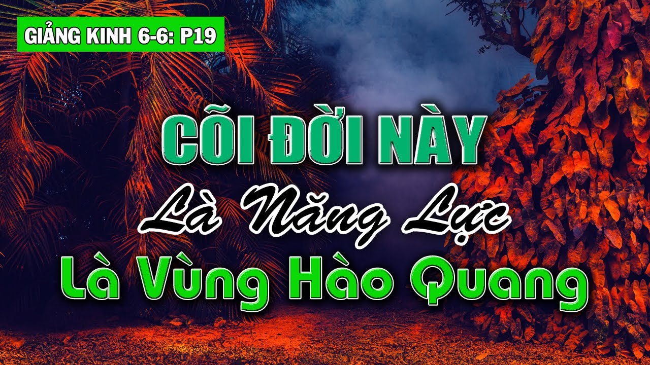 Ngộ Được Cái Bất Tử Thì Đã Xong Không Còn Lang Thang Nữa | Giảng Kinh 6-6 phần 19