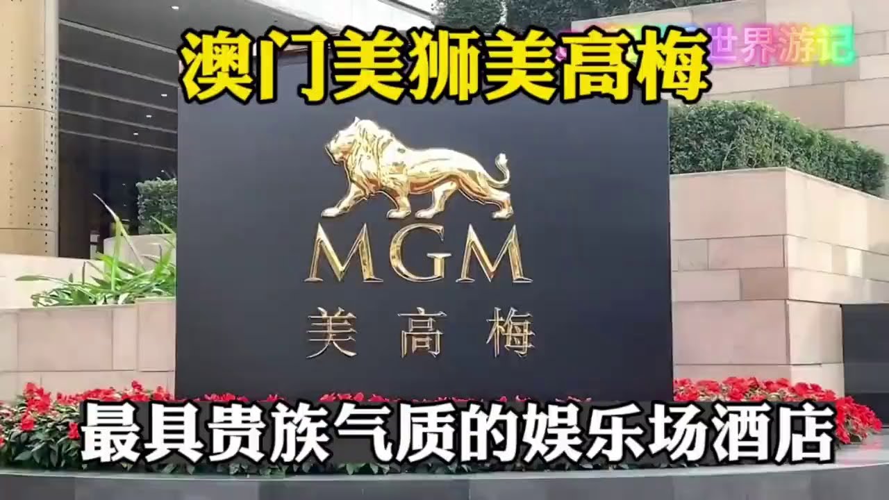 澳门美狮美高梅酒店，门口一座大金狮子，澳门最具贵族气质的赌场。#macau #澳门 #澳门旅游 #macautouristspot #macaucasino #澳门赌场 #macaulifestyle