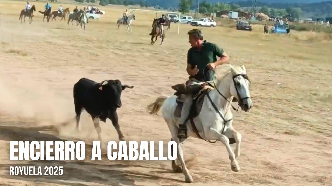 💥BRUTAL ENCIERRO A CABALLO💥| Royuela (Teruel) | 22/08/2025 | 4K