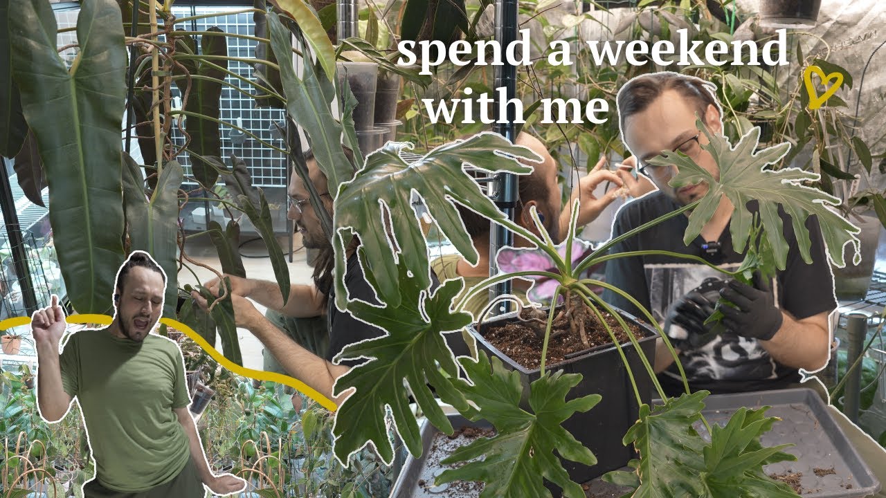 come and spend a weekend with me doing cozy plant chores 🌿🪴