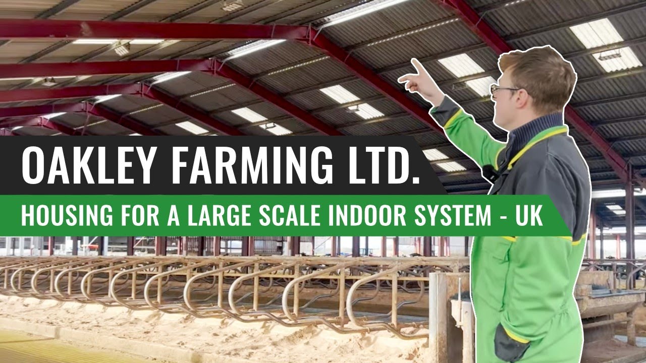 Размещение крупномасштабной крытой системы в Великобритании — Oakley Farming Ltd.
