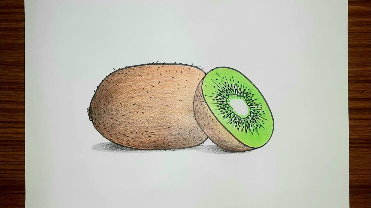 How to draw Kiwi fruit step by step | Kiwi fruit drawing easy | National fruit of New Zealand |