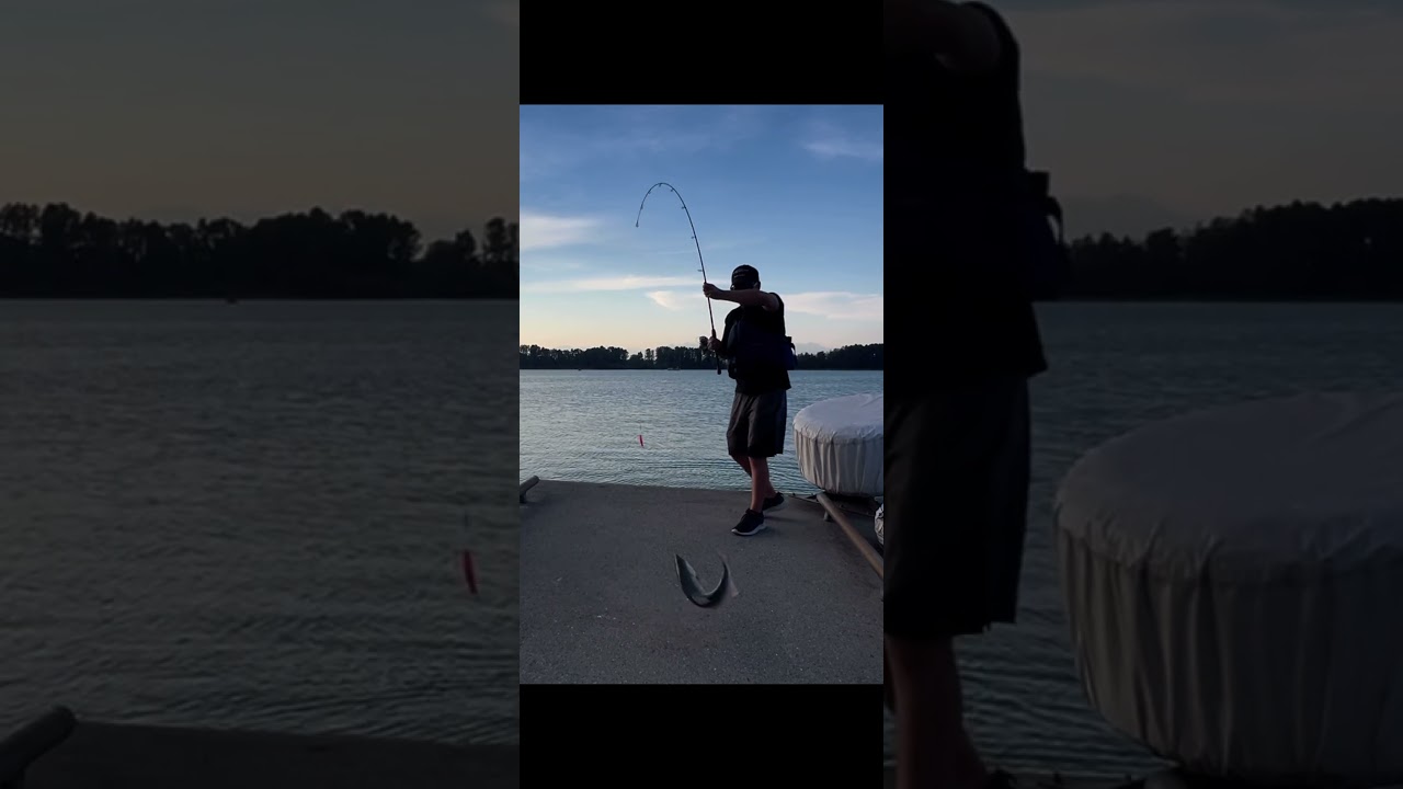 Catching my FIRST Fraser River Pink salmon after 20 years of trying #pacificsalmon #fraserriver