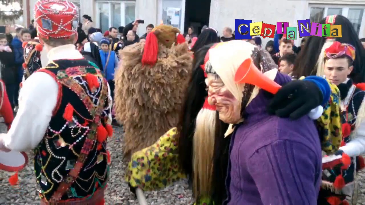 Ursul de la CEPLENITA ~ Comuna CEPLENITA - 31 decembrie 2016 _ C 2