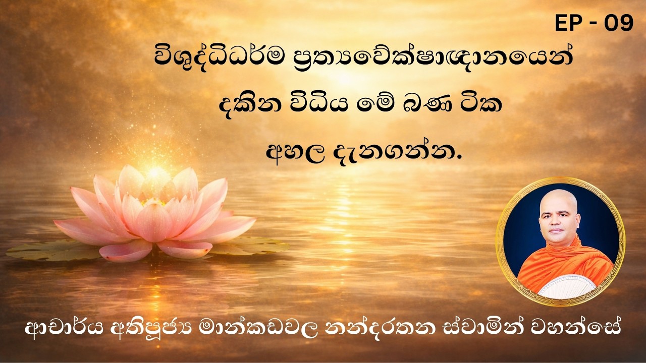 විශුද්ධි ධර්ම ප්‍රත්‍යවේක්ෂාඥානයෙන් දකින්නේ කෙසේද? | Purification Dhamma through Review Knowledge
