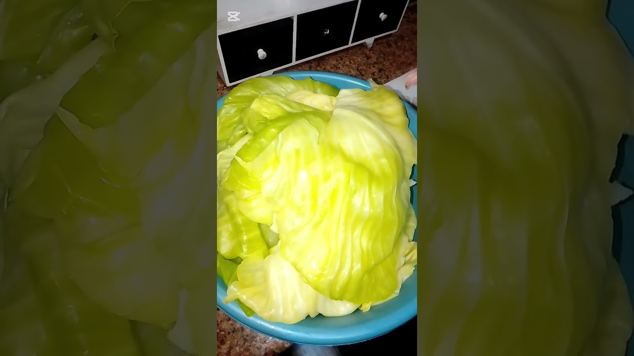 ملفوف جربوها اعطوني رايكم فيه التعليقات مع شهر رمضان المبارك 🌜🌟