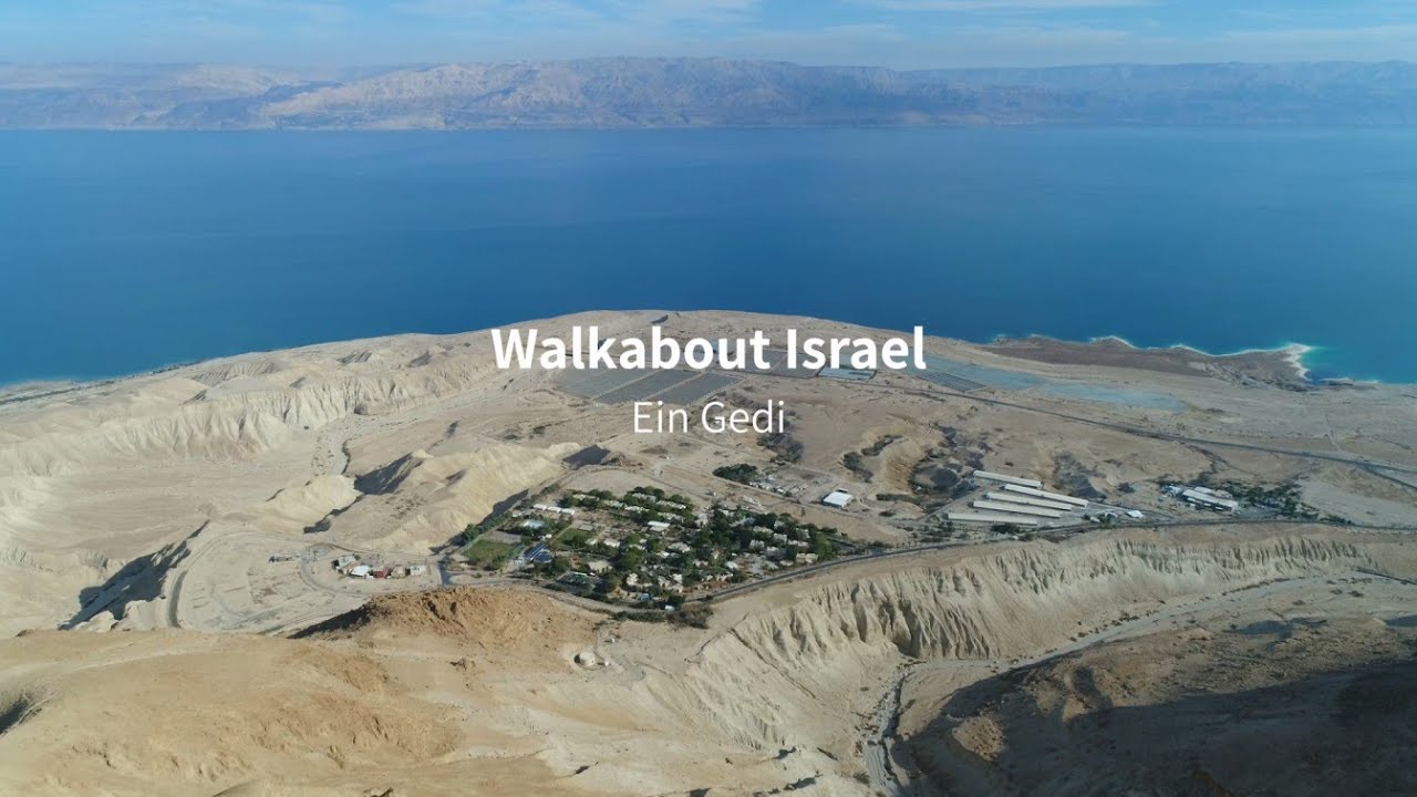 Walkabout Ein Gedi