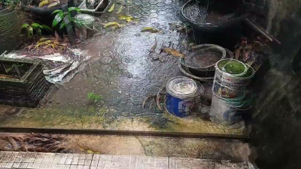 Heavy Rain Ambience in Cozy Village Alley 🌧️ Relaxing Rain Sounds for Sleep, Study & Stress Relief